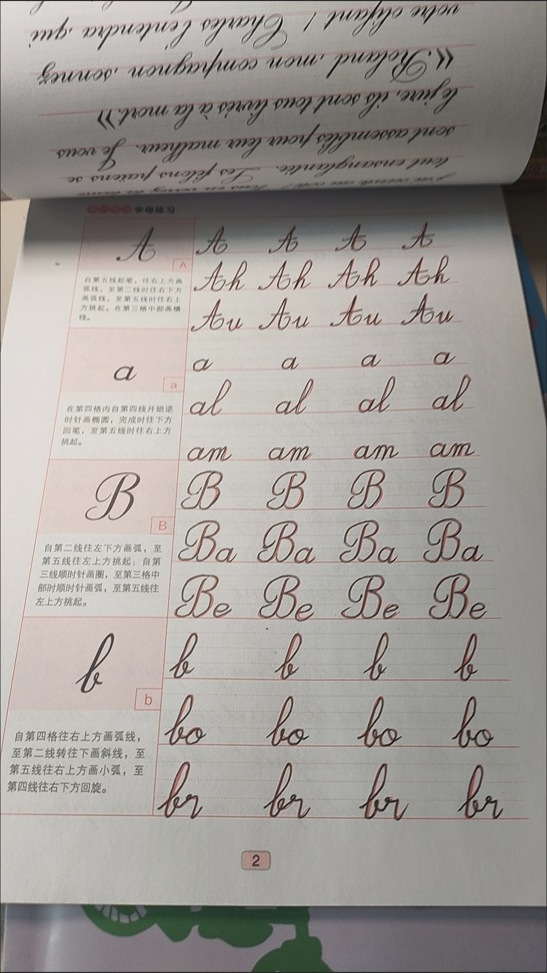 1冊 フランスの丸フォントと花柄フォントの美しいフランス書道 - Carbon Copy Book のレビューと価格